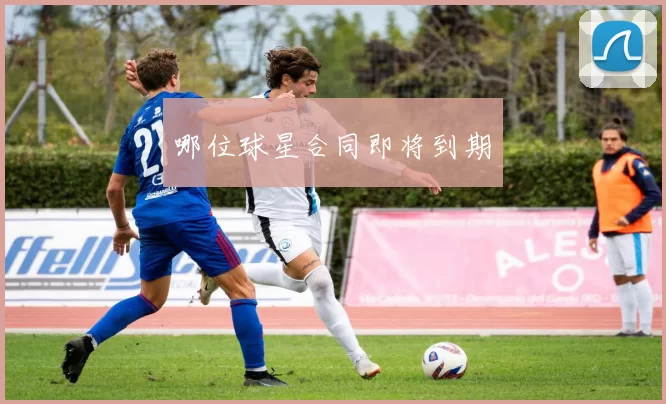 哪位球星合同即将到期