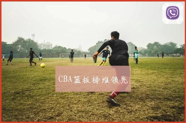 CBA篮板榜谁领先