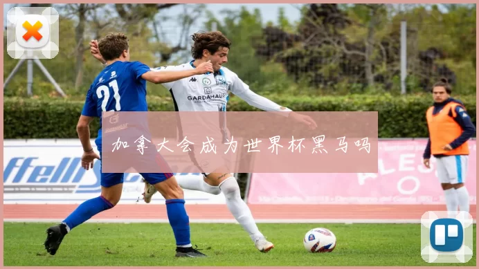 加拿大会成为世界杯黑马吗