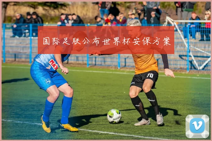 国际足联公布世界杯安保方案