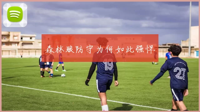 森林狼防守为何如此强悍